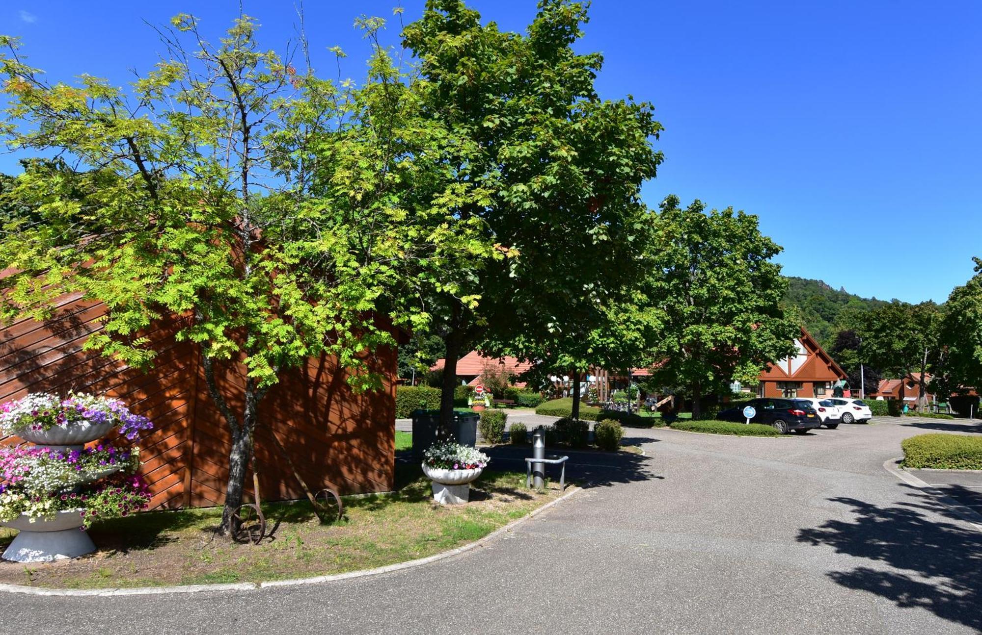 La Petite Fecht Apartamento Munster  Exterior foto
